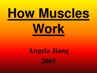 how muscles work