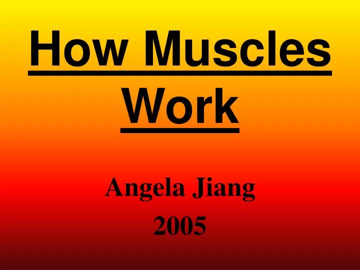 how muscles work