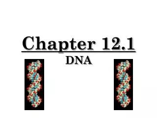 Chapter 12.1 DNA