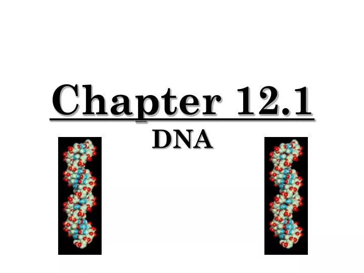 chapter 12 1 dna