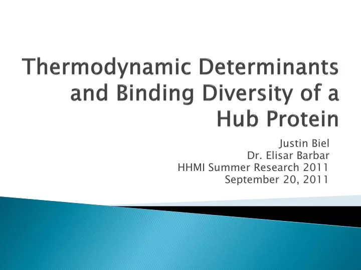 thermodynamic determinants and binding diversity of a hub protein