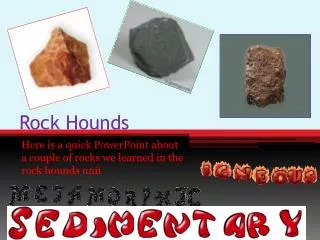 Rock Hounds