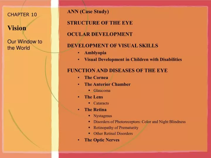 chapter 10 vision our window to the world