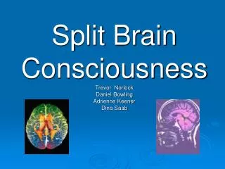 Split Brain Consciousness Trevor Norlock Daniel Bowling Adrienne Keener Dina Saab
