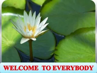 WELCOME TO EVERYBODY