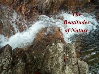 The Beatitudes of Nature