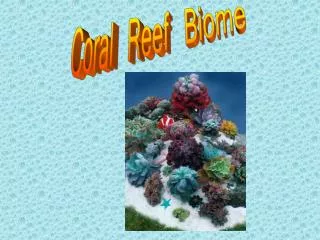 Coral Reef Biome