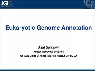 Eukaryotic Genome Annotation