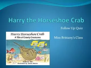 Harry the Horseshoe Crab