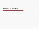 Blood Culture - slide 1