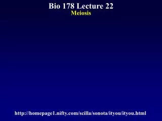 Bio 178 Lecture 22