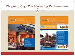 Chapter 3 &amp; 4 - The Marketing Environments