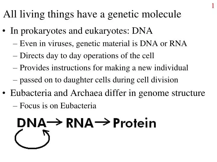 all living things have a genetic molecule