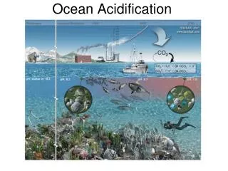 Ocean Acidification