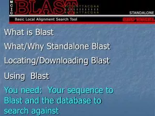 What is Blast