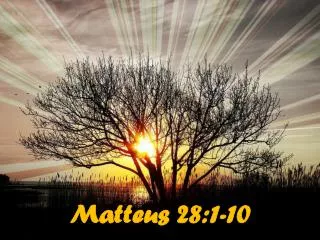 matteus 28 1 10