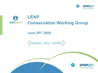 LEAP Conservation Working Group June 25 th , 2009