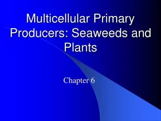 Multicellular Primary Producers: Seaweeds and Plants