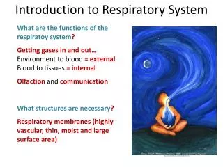 What are the functions of the respiratoy system ?