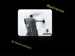 Black Hornet