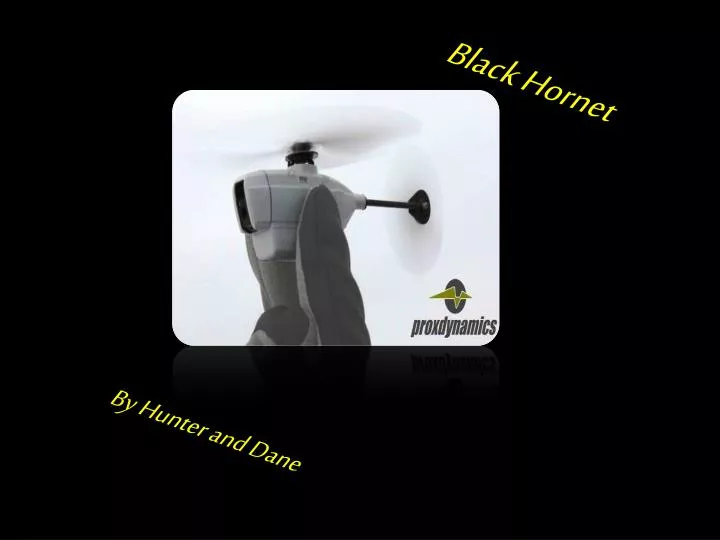 black hornet