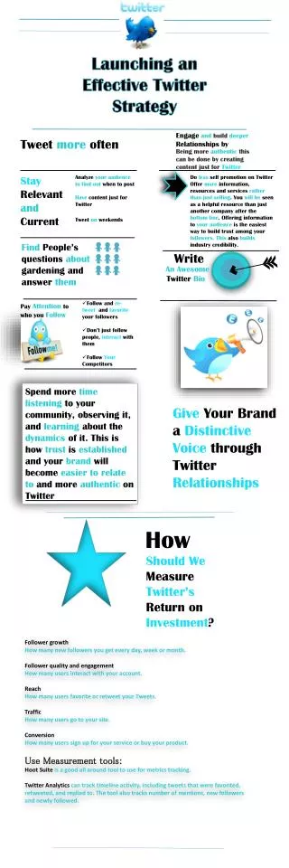 Launching an Effective Twitter Strategy