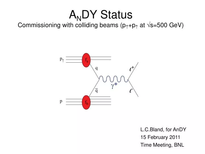 a n dy status commissioning with colliding beams p p at s 500 gev