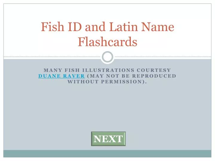 fish id and latin name flashcards