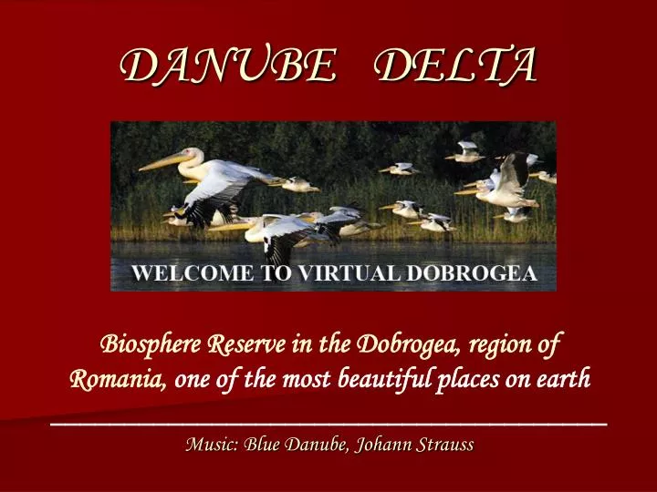 danube delta