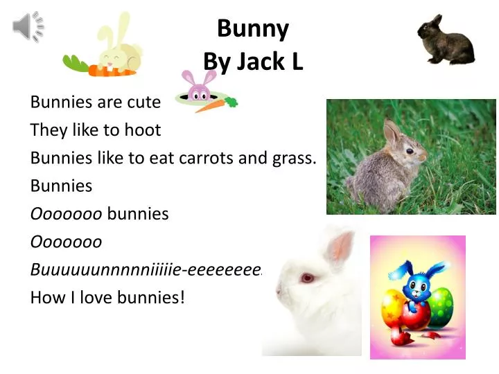 bunny by jack l