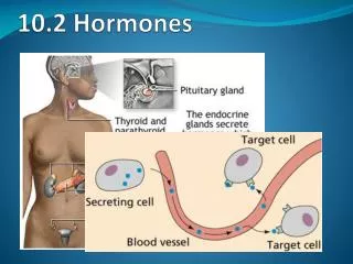 10.2 Hormones