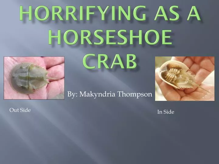 horrifying as a horseshoe crab