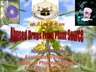 Abused Drugs From Plant Source