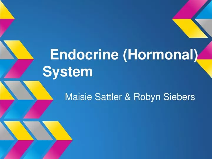 endocrine hormonal system