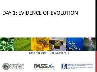 DAY 1: EVIDENCE of evolution