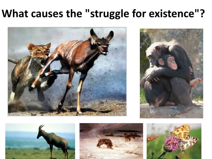 what causes the struggle for existence