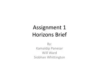 Assignment 1 Horizons Brief