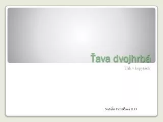 ava dvojhrb