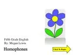 Homophones - slide 1