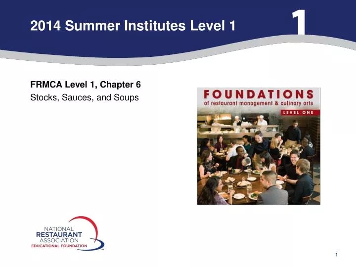 2014 summer institutes level 1