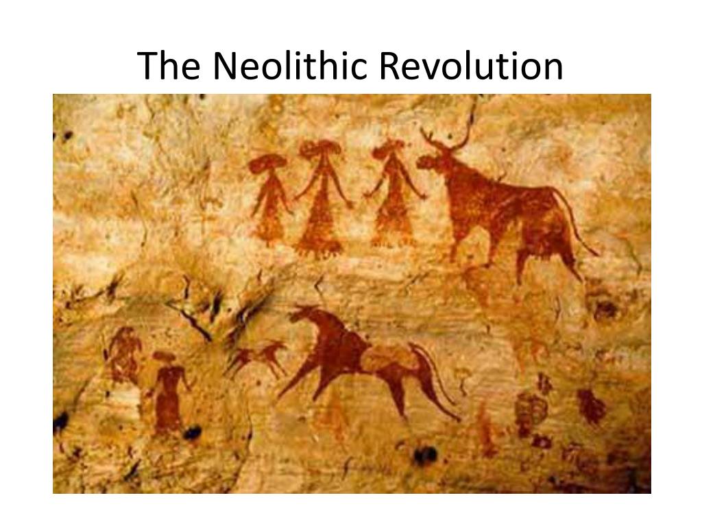 PPT - The Neolithic Revolution PowerPoint Presentation, free download ...