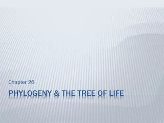 Phylogeny &amp; The Tree of life