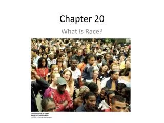 Chapter 20