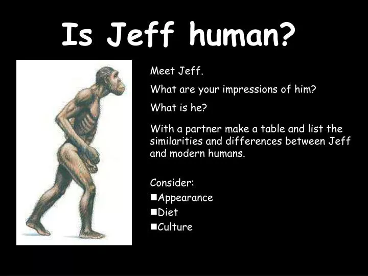 is jeff human
