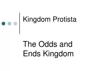 kingdom protista