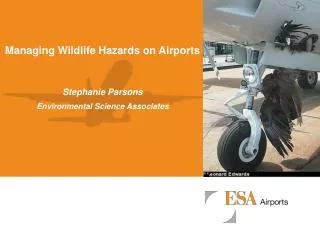Managing Wildlife Hazards on Airports Stephanie Parsons Environmental Science Associates