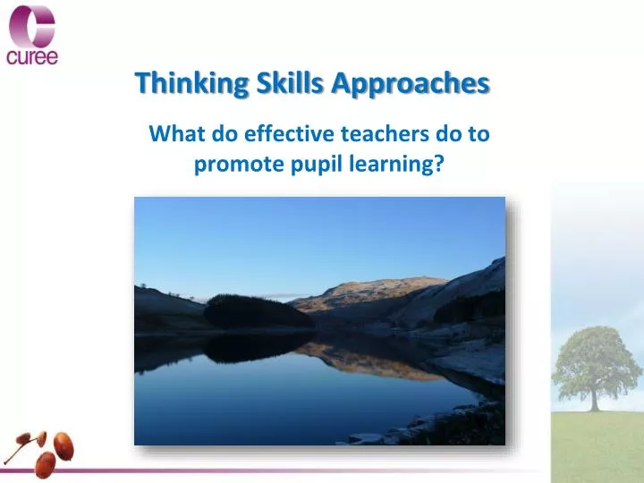 thinking skills approaches