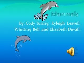 Mammals