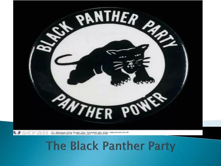 the black panther party