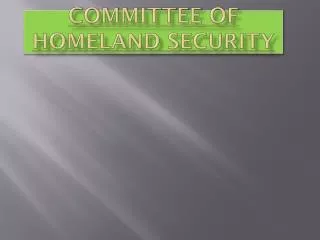 Committee of Homeland Security